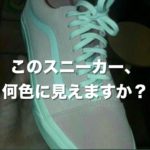 このスニーカー、何色に見えますか？