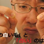 【法話＆写経】一行写経と法話の会(5/22)レポート