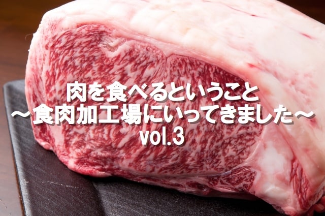肉を食べるということ〜食肉加工場にいってきました〜 vol.3