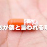 仏教が薬と言われる理由