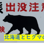 ちょw安らかに眠ろうとしていたらなんか黒いヤツが現れたんだがw