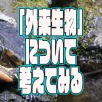 「外来生物」について考えてみる
