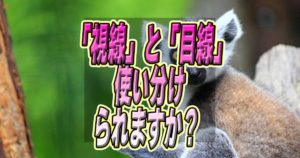 「視線」と「目線」を使い分けられますか？